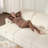 Wall-Hugger Chenille Sofa Sleeper with Motorlized Slide-Out Bed and Storage Chaise