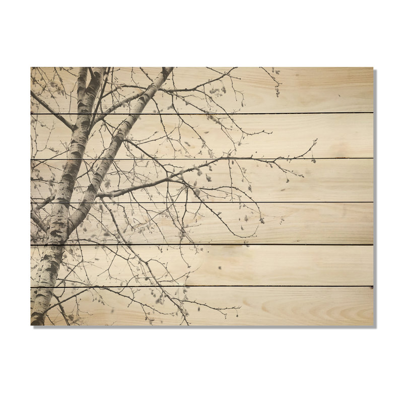 Arbre de bouleau gris minimaliste, art sur bois de pin naturel, H 30 po x l 40 po
