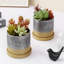 Pot Planter