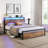 Hasson Borunda Bookcase Bed with 2 Drawers, LED Lights Bed with Charging Station-2115123060