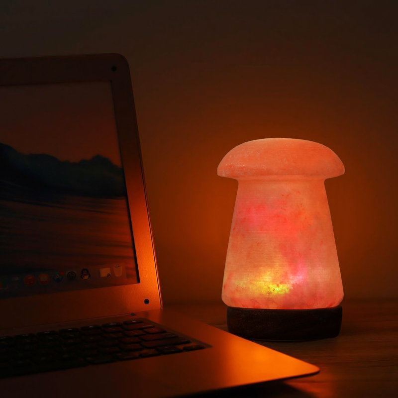 Lampe sel d'Himalaya de style champignon au changement de couleur multicolore, ampoule à DEL de 3 watts et base en bois, petite lampe artisanale en sel naturel pour le meilleur cadeau et une grande décoration, aucune installation requise.