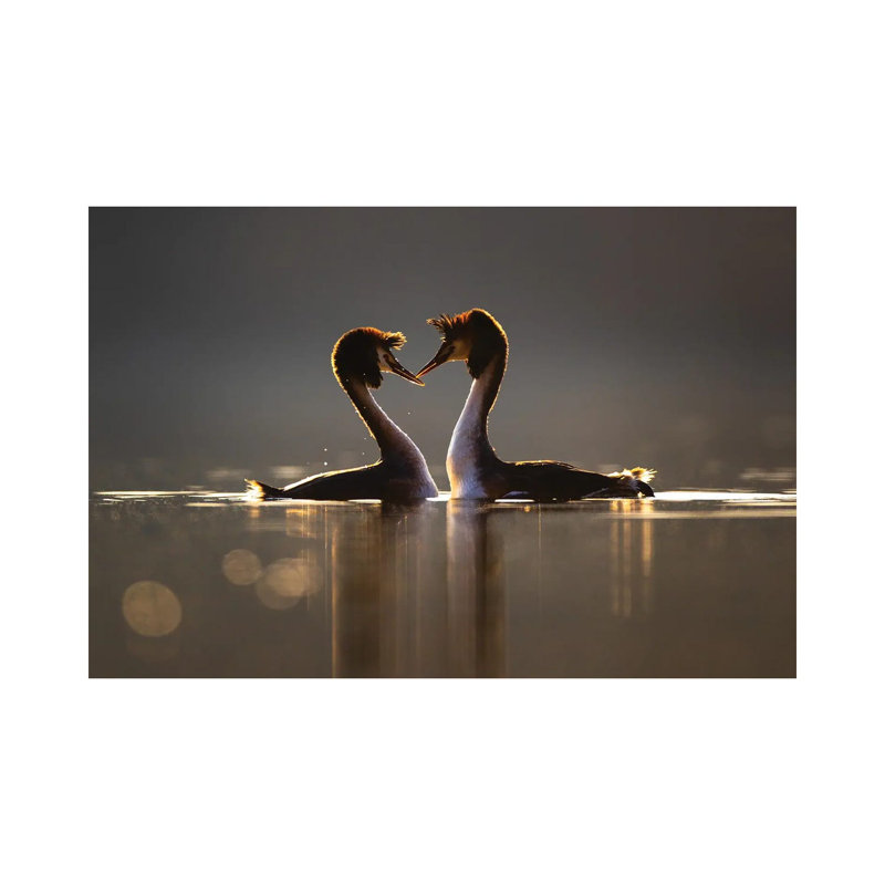 Love 1 Piece Wrapped Canvas Wall Art, 30.48cm H x 45.72cm W x 1.905cm D