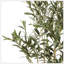 Arbre d'olive artificiel-624863226