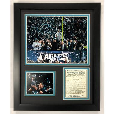 Legends Never Die NFL 1998 Denver Broncos Super Bowl XXXIII Champions  Framed Double Matted Photos, 18 x 22