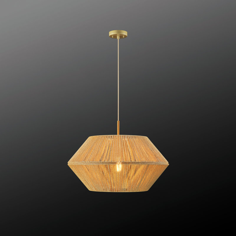 Luminaire suspendu unique à 1 lumière Adetayo