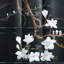 Vintage Hand-Painted Accent Chest with 6 Drawers