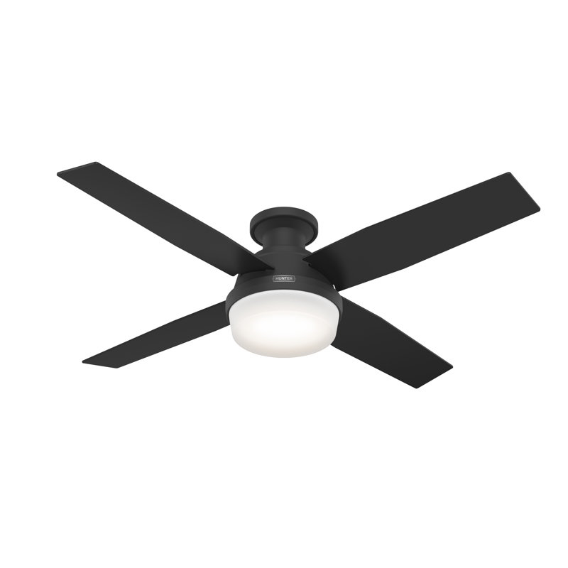 Ventilateur de plafond avec lumières DEL Pollman, Noir mat