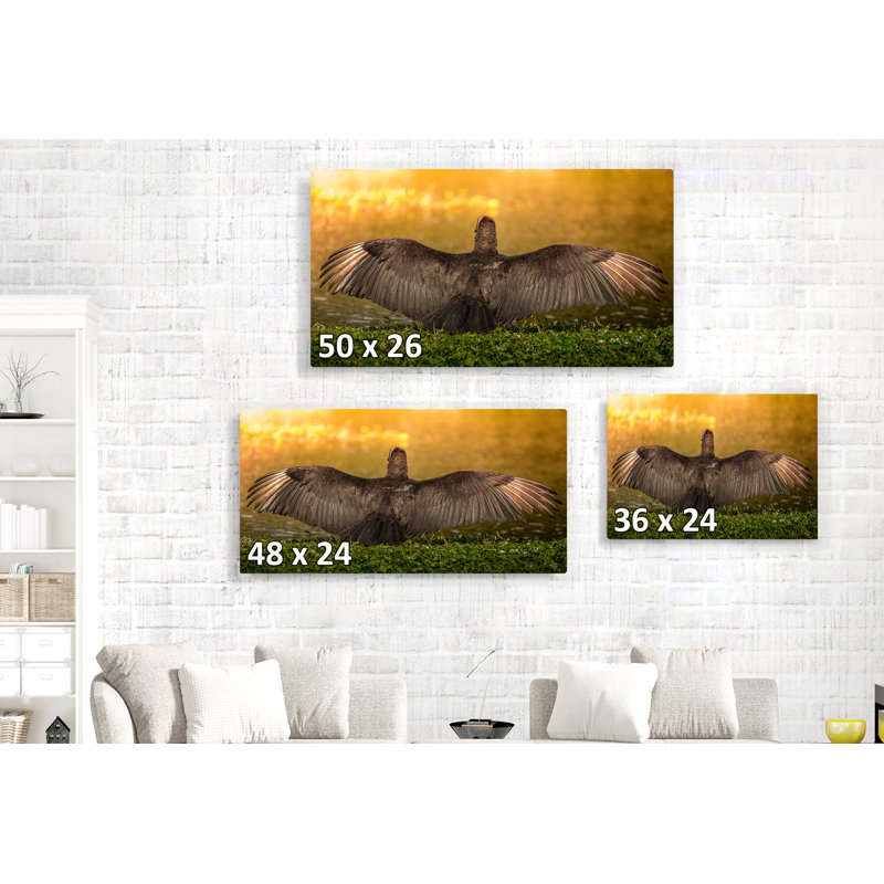 Kerriana bel oiseau déployant ses ailes dans un magnifique coucher de soleil - reproduction de photo sur toile tendue