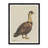 Moulton Collection " Standing Goose "
