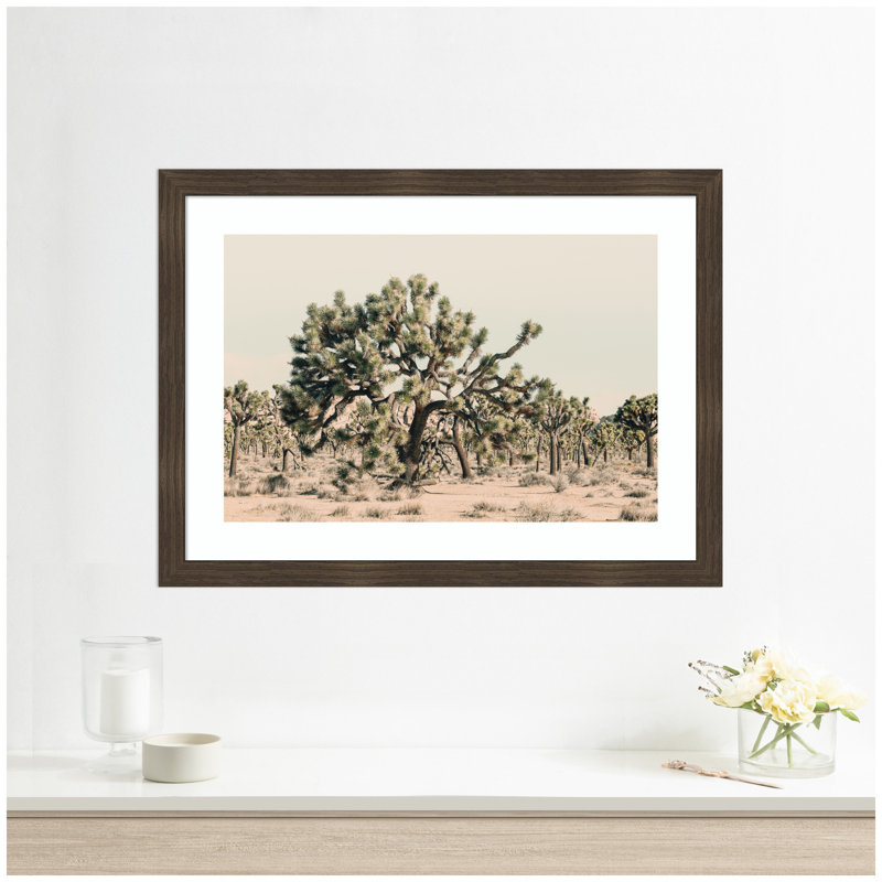«Joshua Tree No. 1» par Alicia Bock, reproduction d'art encadrée