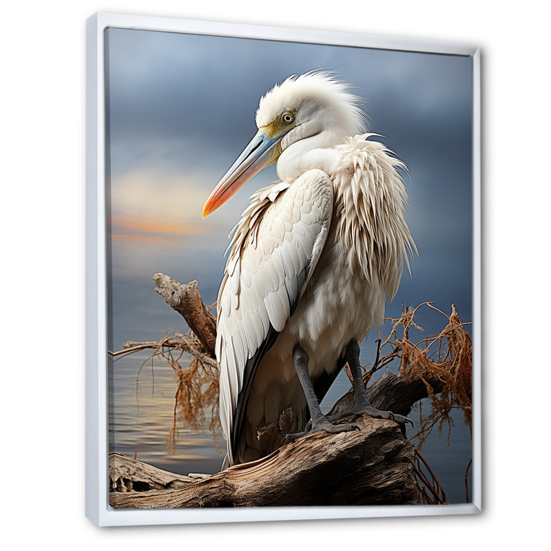 «Orava Grey Pelican Tranquil Waters Pelican», reproduction sur toile, H 20 po x l 12 po x P 1 po, Cadre flottant blanc