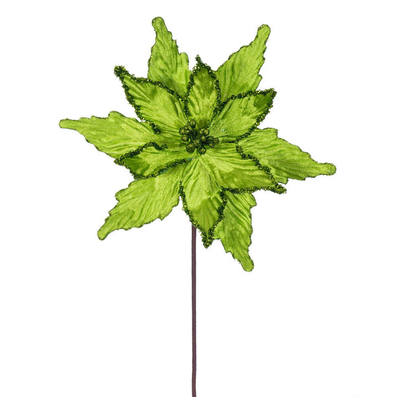 Tiges de poinsettia Cliffo, Lime
