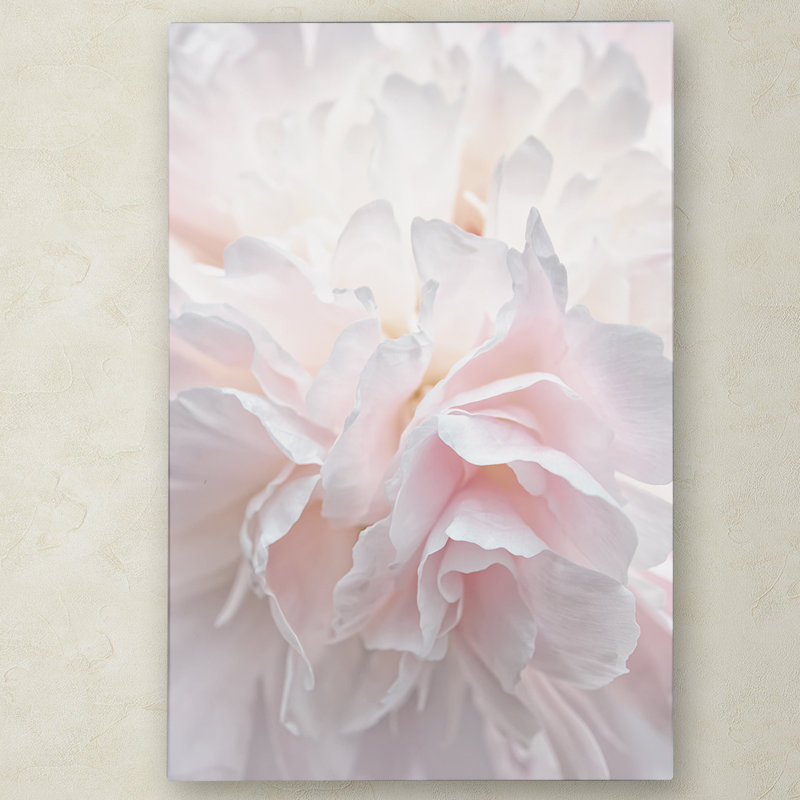 « rose pivoine pétales iv », reproduction de photo sur toile tendue, H 24 po x l 16 po x p 2 po