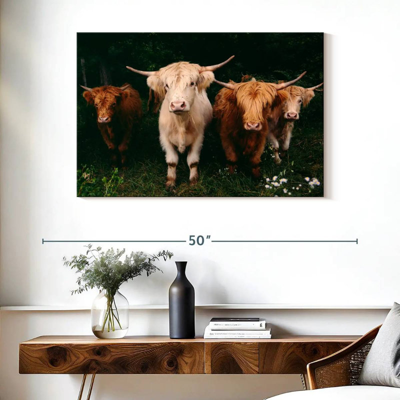 Vaches Highland, H 26 po x l 39 po