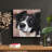 " Black And White Border Collie " Painting Print-1036651940