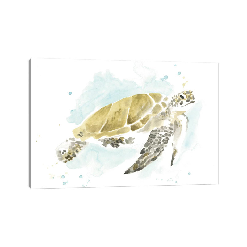 Watercolor Sea Turtle Study I - Wrapped Canvas Print, 30.48 cm H x 45.72 cm W