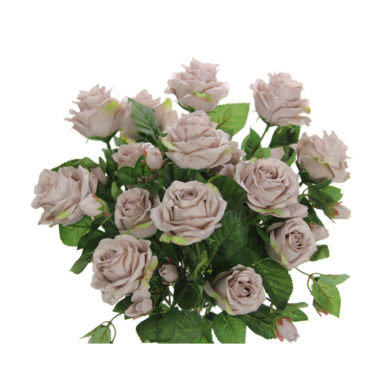Fleur rose, Gris