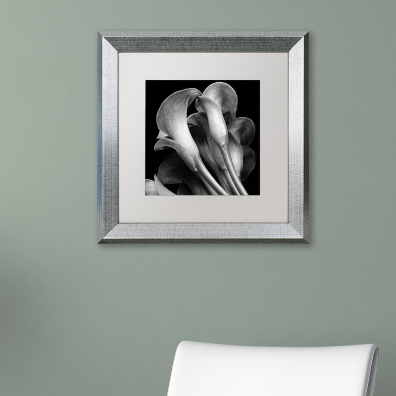 "lillies" par michael harrison, reproduction d’art encadrée, H 11 po x l 14 po x P 0,5 po