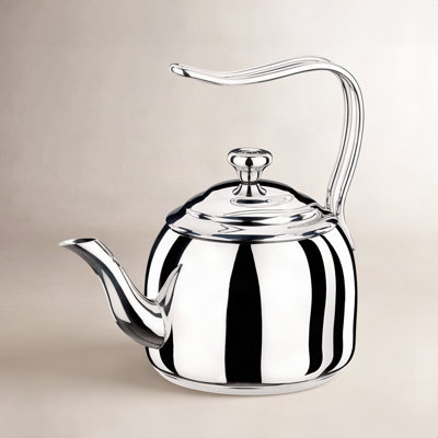 Birch Lane™ Chicago Stainless Steel Gooseneck Kettle