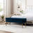 Velvet Storage Bench with Gold Legs Nailhead Trim, Upholstered Bedroom Bench for End of Bed-1395960275-1377762630