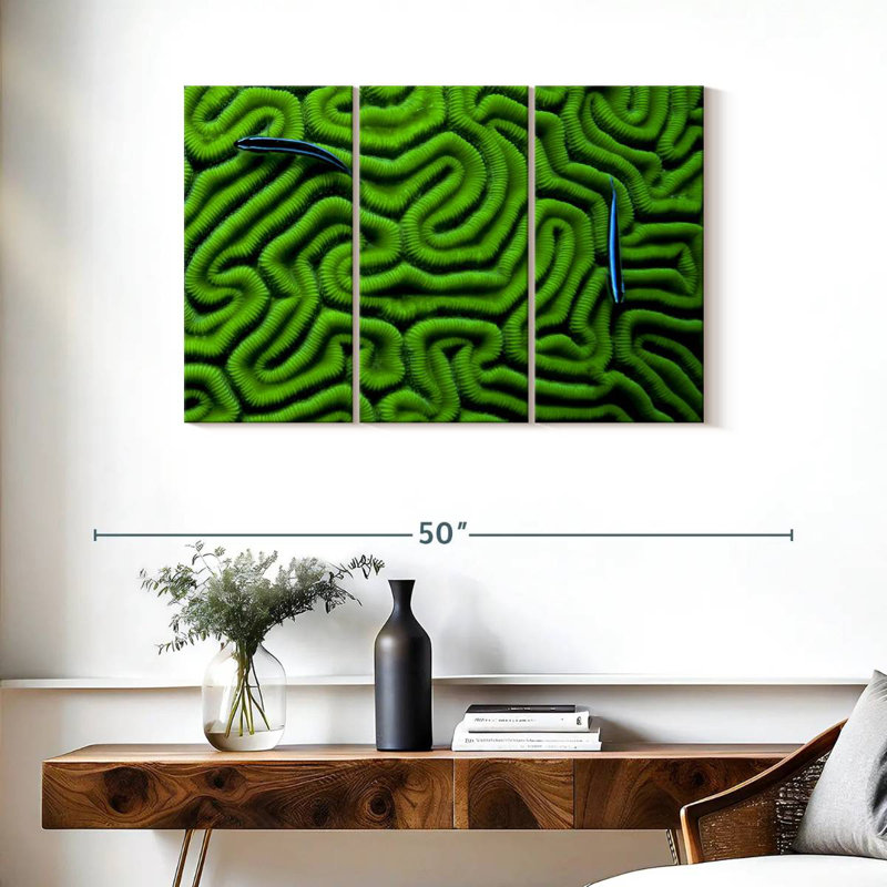 Brampt Green Brain Coral, 24" H x 38" W