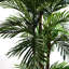 Artificial Palm Tree in Pot-88980149