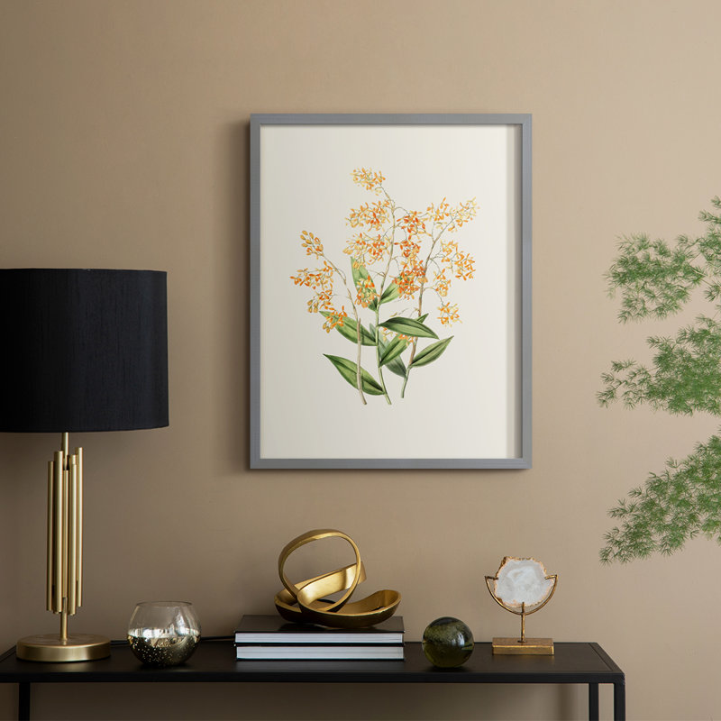 Impression florale vintage encadrée LXII - bois massif, Gris, H 15 po x l 12 po