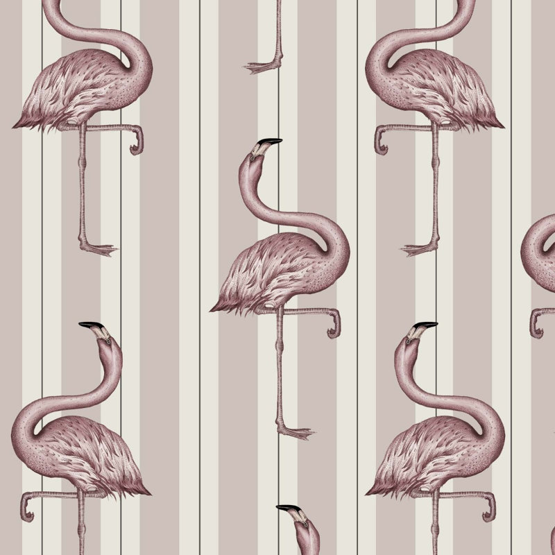 Flamboyance 9.84' L x 70.8" W Wallpaper Roll, Off White/Pink