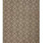 Geometric Area Rug in Brown