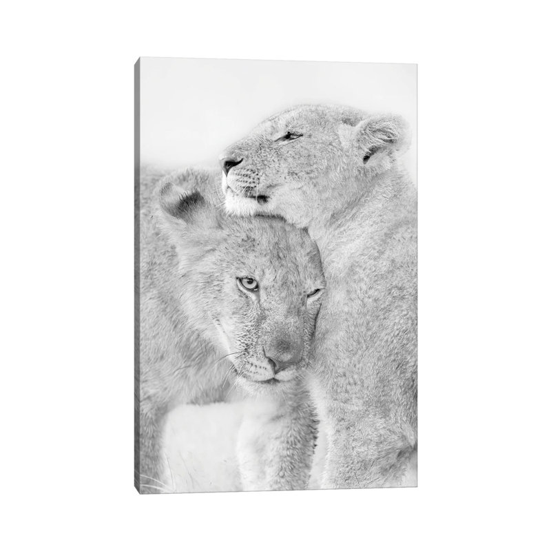 I Love You by Jun Zuo - Wrapped Canvas Print, 20.32 cm H x 30.48 cm W