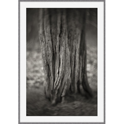 My Kingdom 2 Print by Ralph Mercer