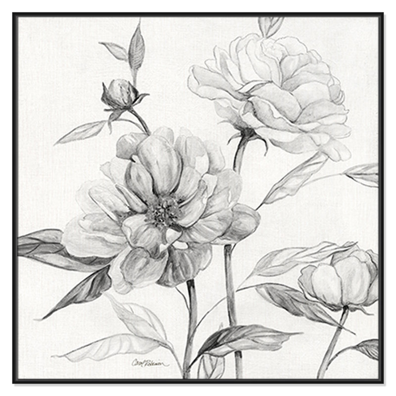 «Linen Peony S croquis I» par Carol Robinson - reproduction sur toile flottante, H 46,5 po x l 46,5 po x P 2 po, Noir