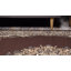 Oriental Area Rug-1728306554