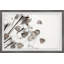 Cotton Blossom - Single Picture Frame Painting-1333053813