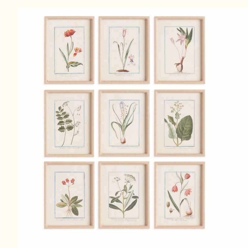 DAINTY FLORA & FAUNA STUDE, ENSEMBLE DE 9