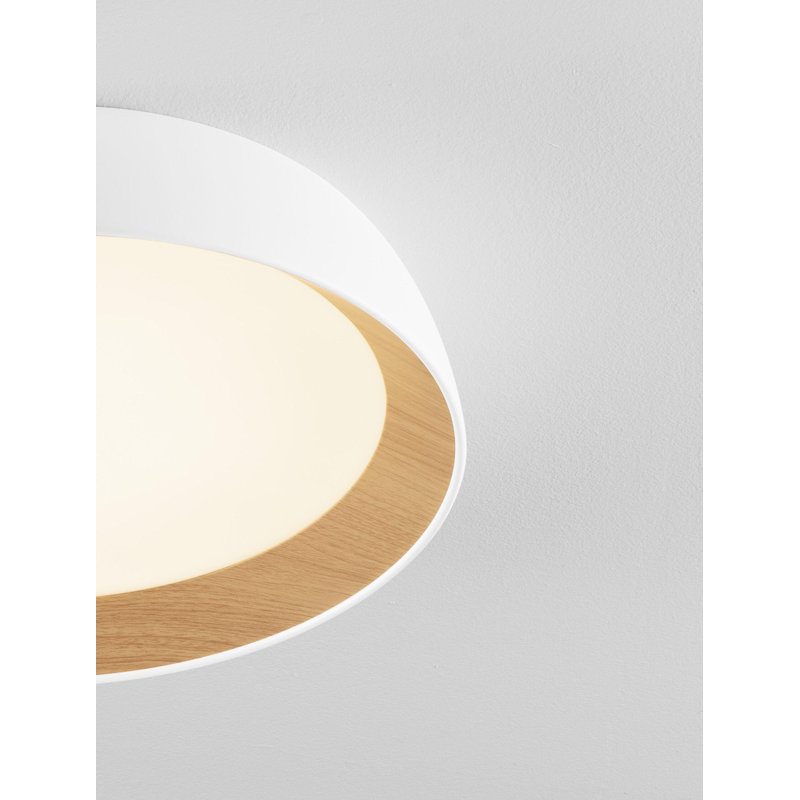 Flush Mount