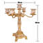 Metal Candelabra