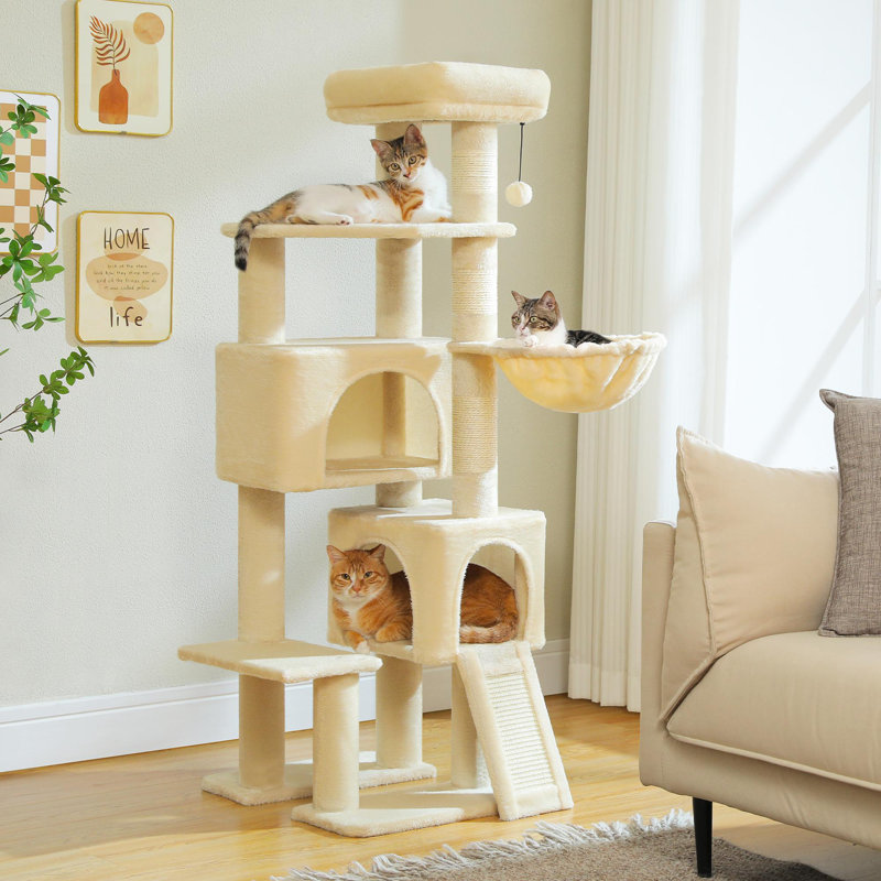 Arbre à chat, Beige