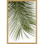 «Palm Leaves Foliage Photo IV» par Amini54, reproduction d'art sur toile encadrée-307420566