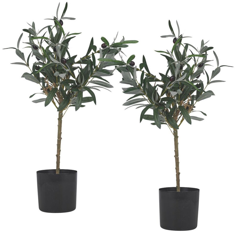 Anarely Pot Planter