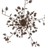15 - Light Chandelier