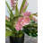 21'' Faux Philodendron Plant in Ceramic Planter