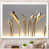 Cadre simple blanc