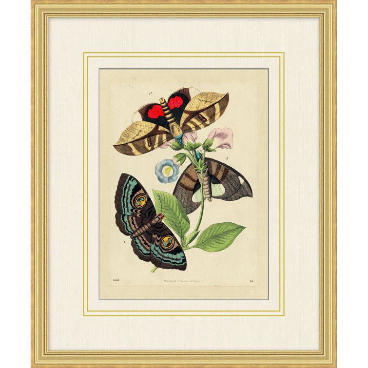 Wendover Art Group Butterfly Garden 2 By Wendover Art Group 