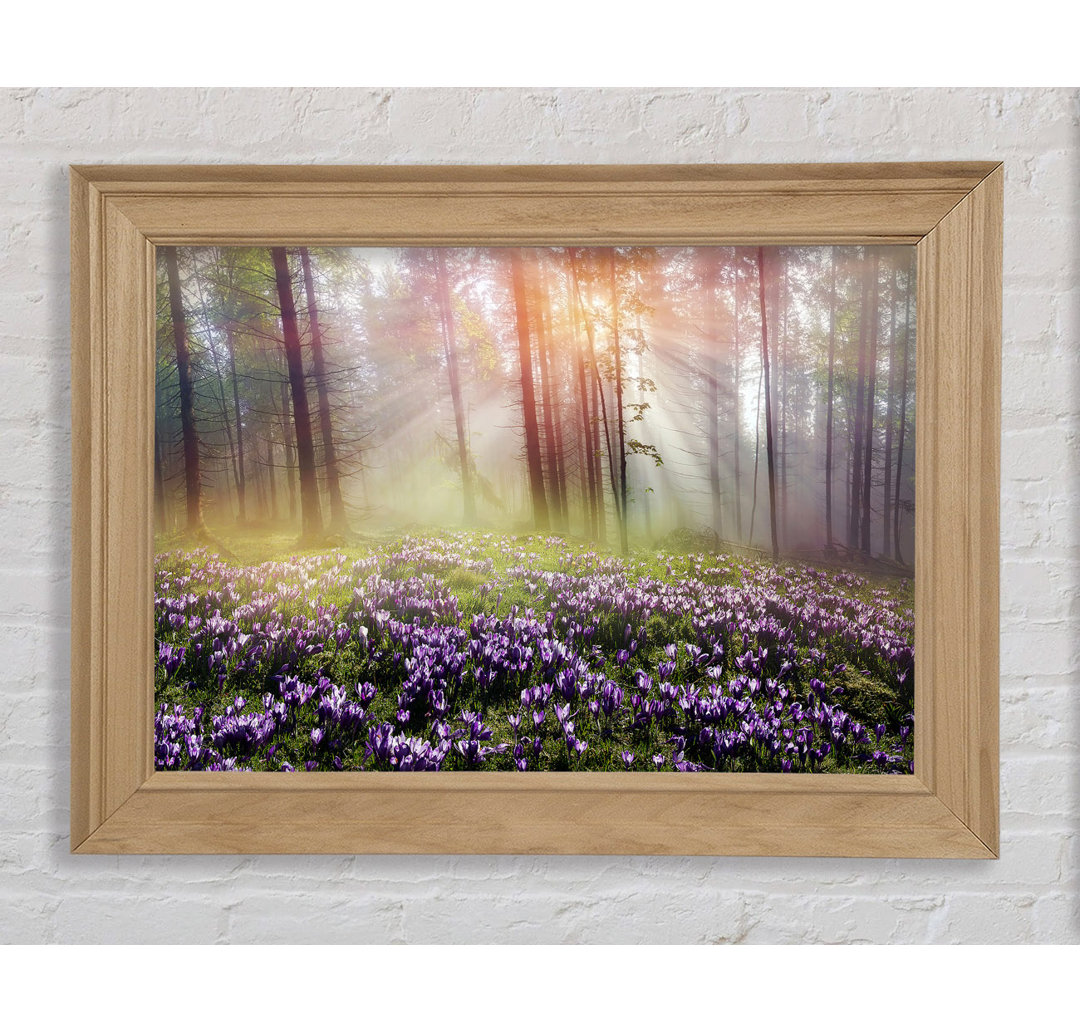 Sun Through The Bluebell Woodland - Einzelner Bilderrahmen Kunstdrucke