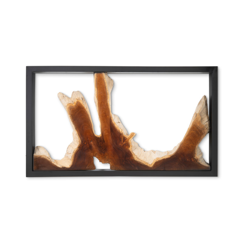 Framed Root Wall Décor