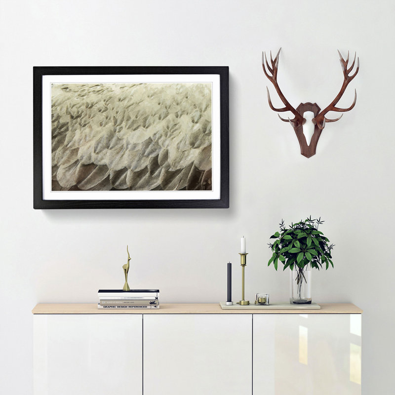 Feathers - Picture Frame Graphic Art Print, 50cm H x 76cm W x 2cm D, Black