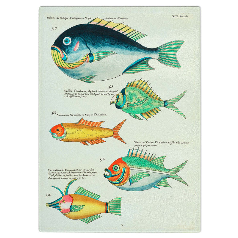 Glass East indies Fish Illustrations Xix by Louis Renard Chopping Board, 39 cm W x 28.5 cm L