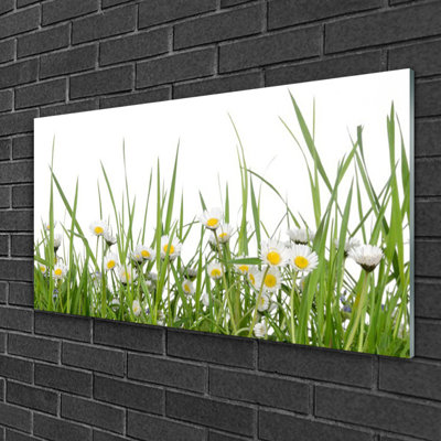 Nature Grass Daisies - No Frame Print on Glass