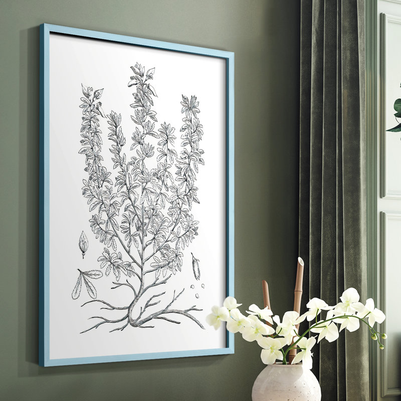 «B&W Plant Speciment», reproduction encadrée - bois massif, Bleu, H 10 po x l 8 po
